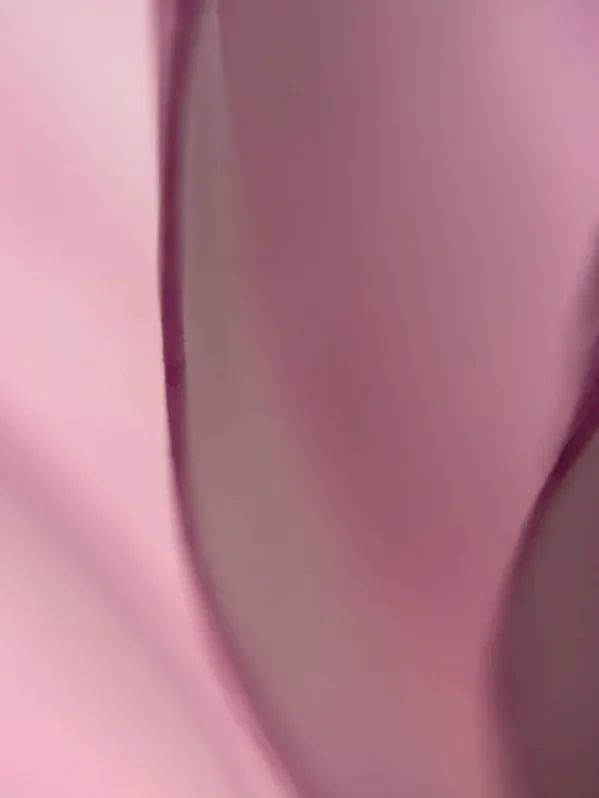 unsplash_x8k5FFG1zzs_light pink fabric.webp